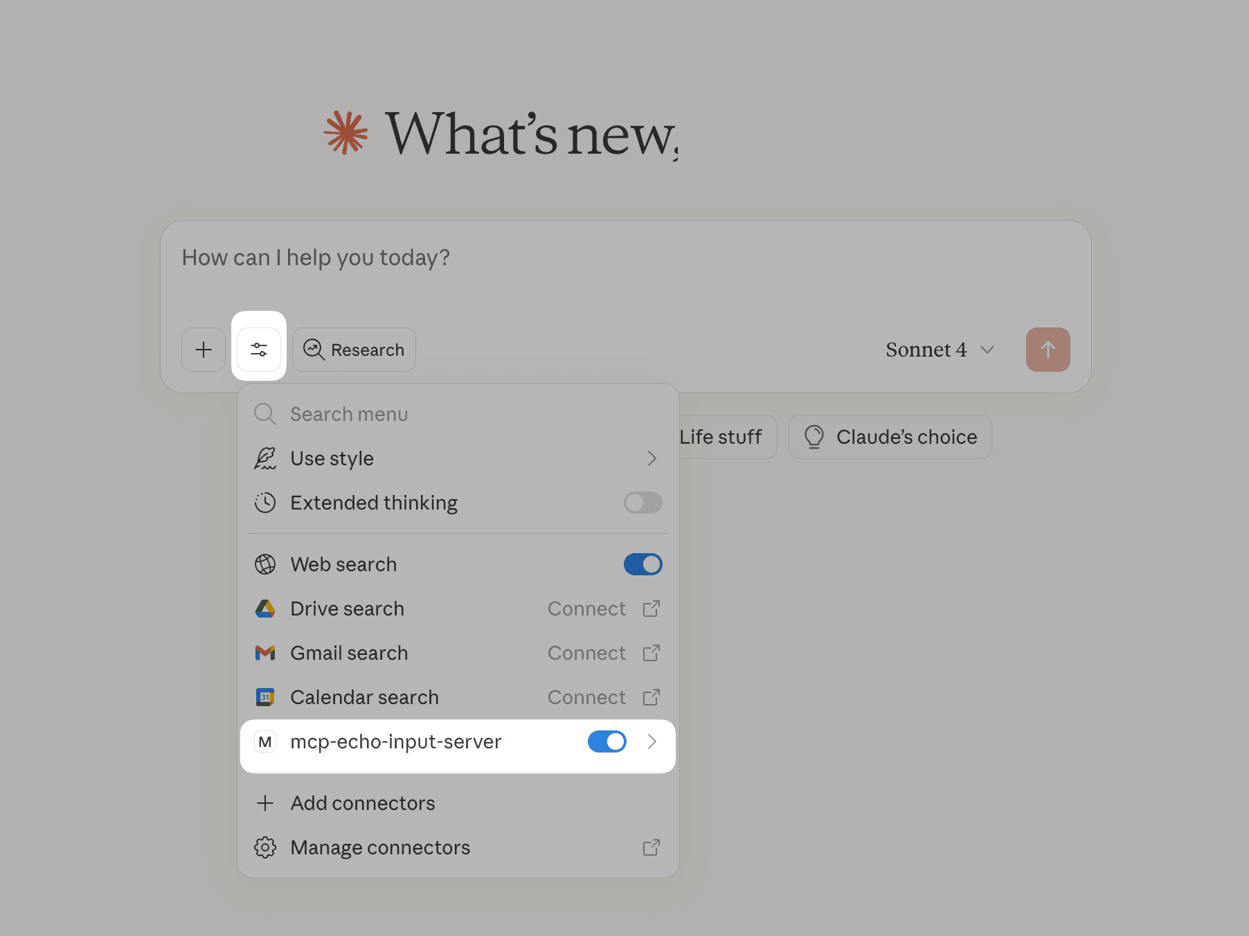 Selecting MCP Echo input server